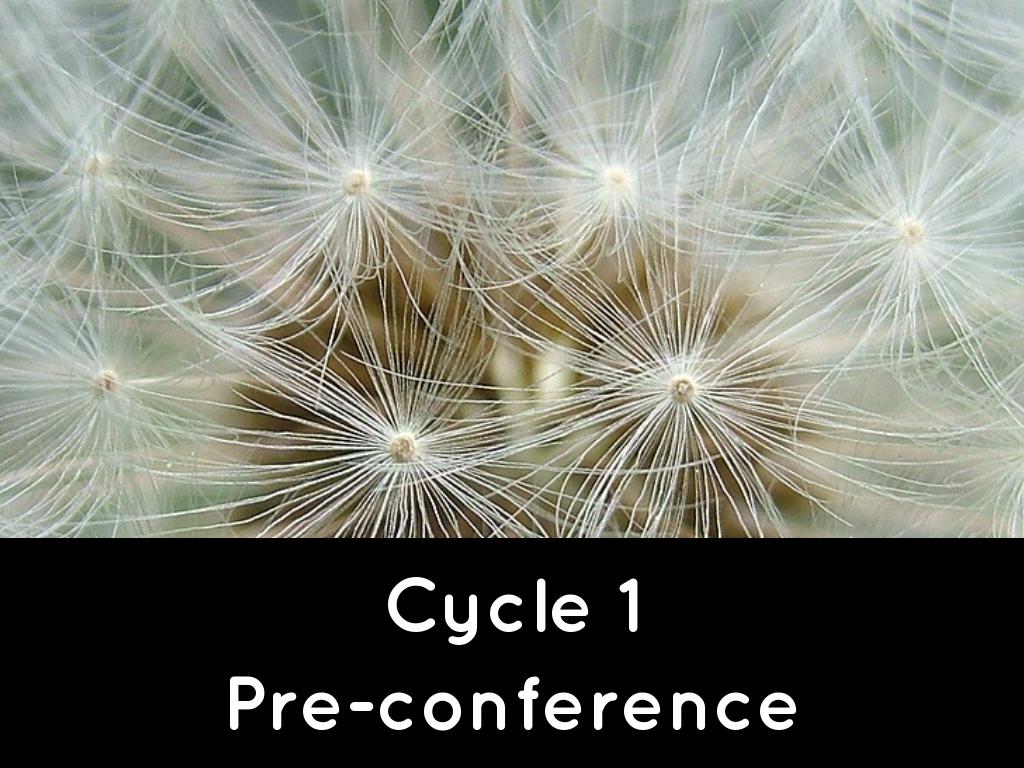 Cycle 1 Pre-conference
