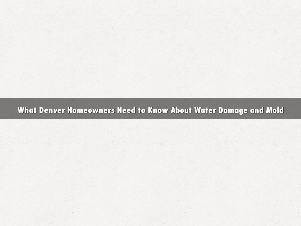 What Denver Homeowners Need to Know About Water Damage and Mold