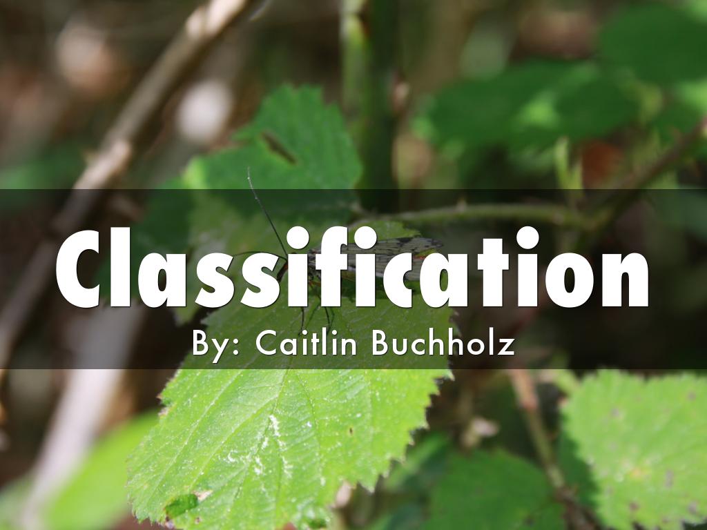 Classification