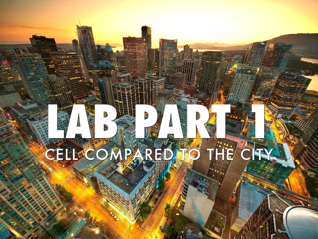 Cell Lab 2014-2015 school year