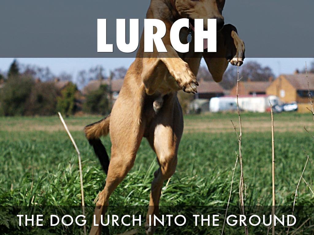 Vocabulary Number Eight I Know This