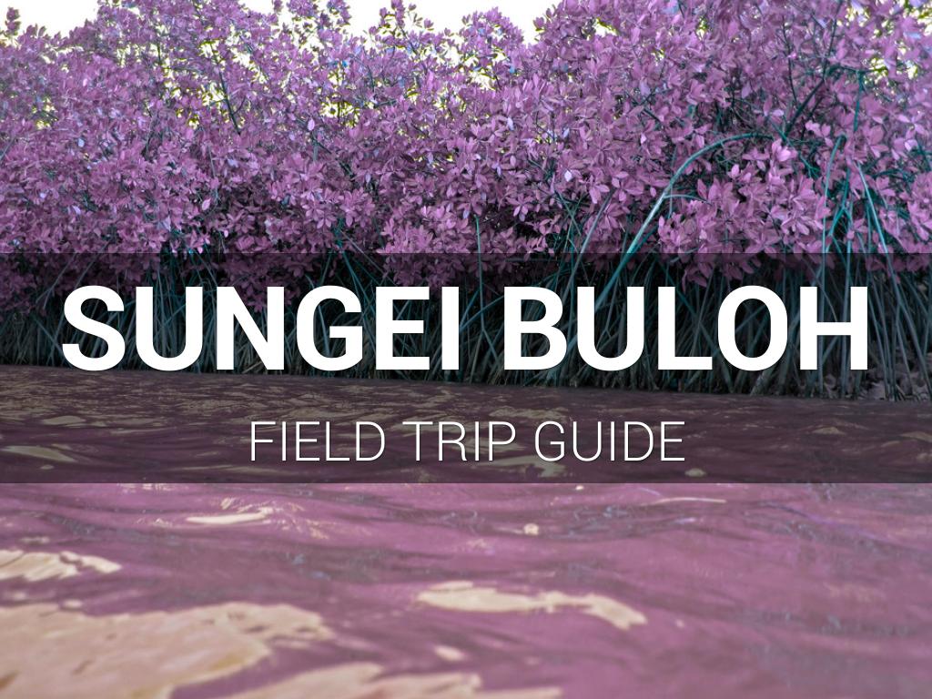 Field Trip Guide