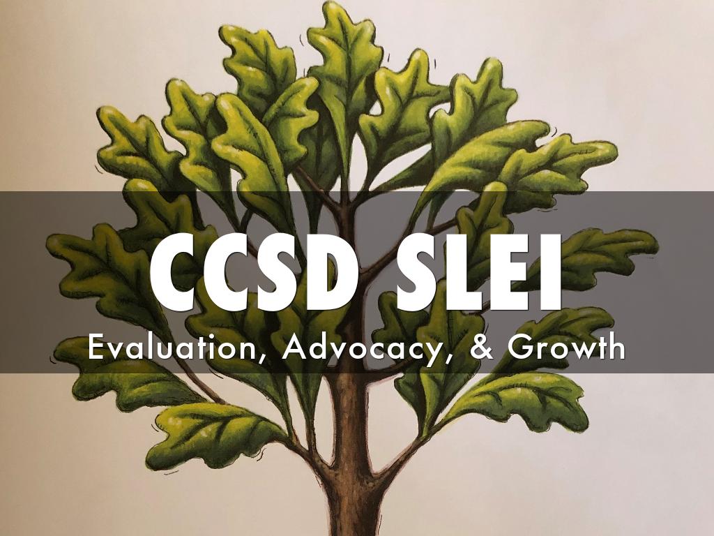 CCSD SLEI