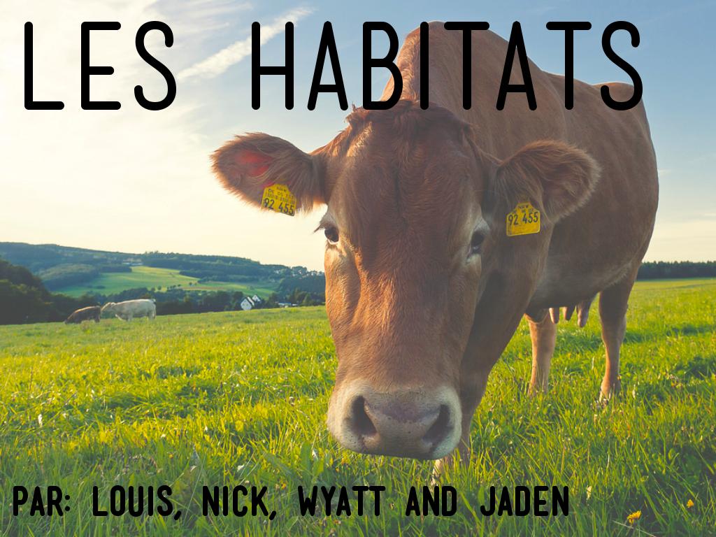 Les Habitats, à Nous Protéger