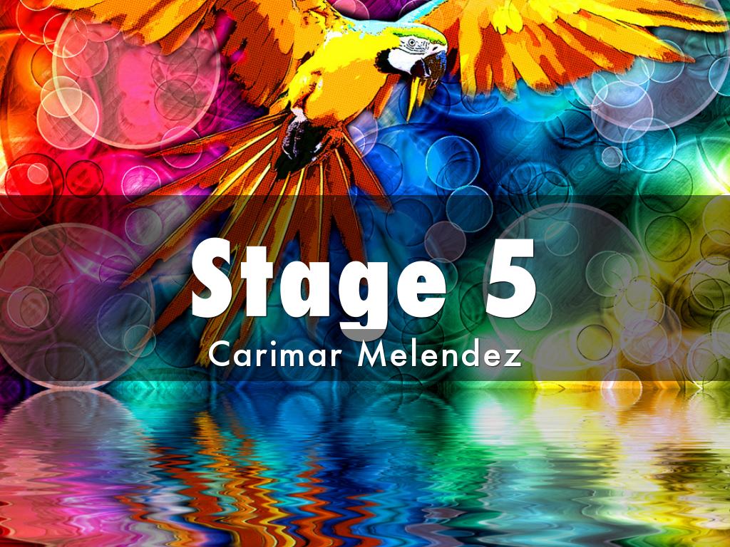 Stage 4
