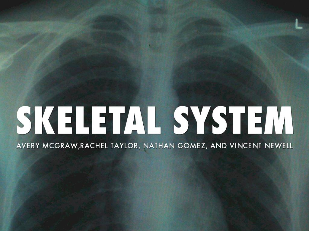 Skeletal System 