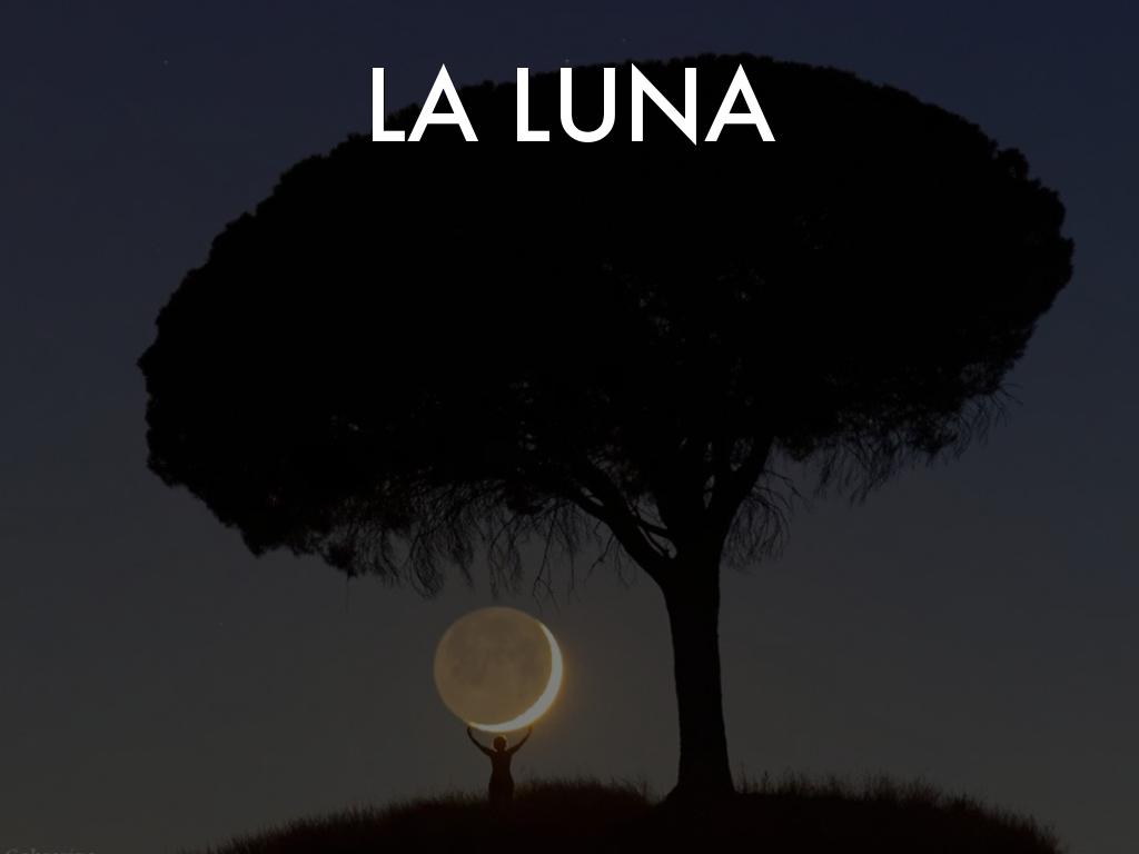 Copia de What is Creativity