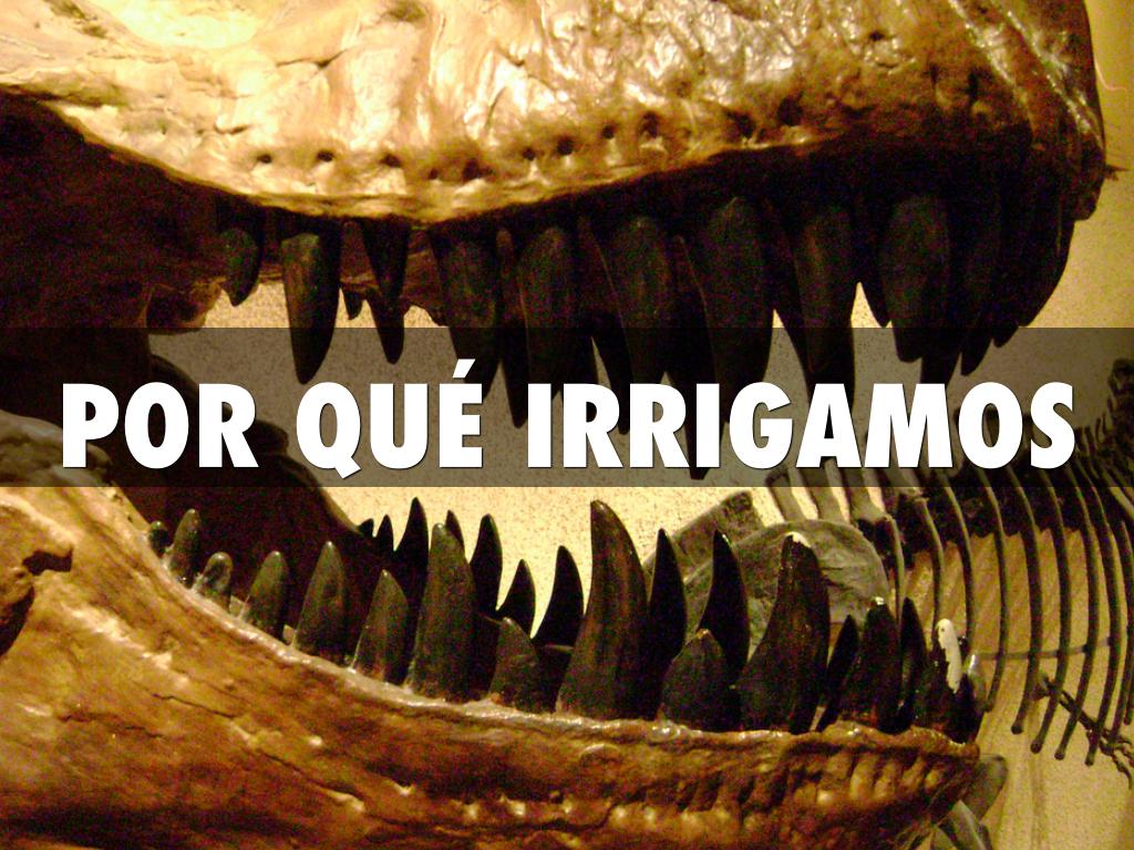 IRRIGANTES 