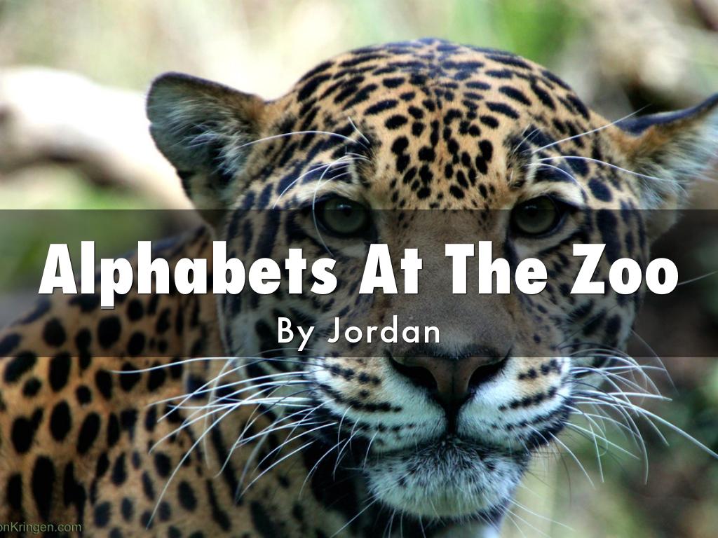 Alphabets At The Zoo