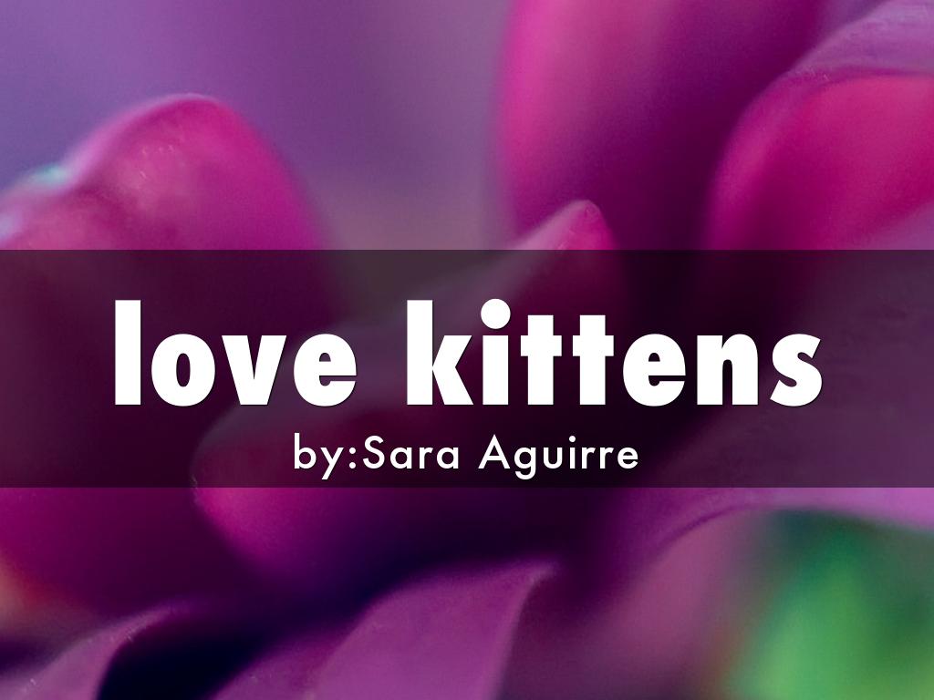 love kittens