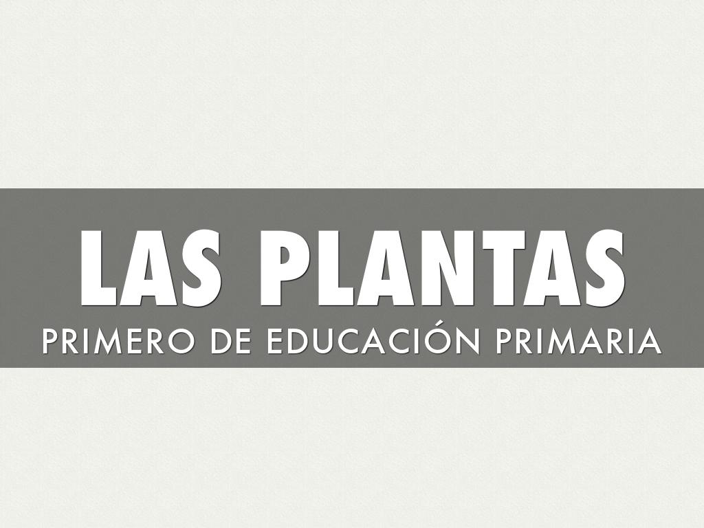 Copia de Untitled Haiku Deck