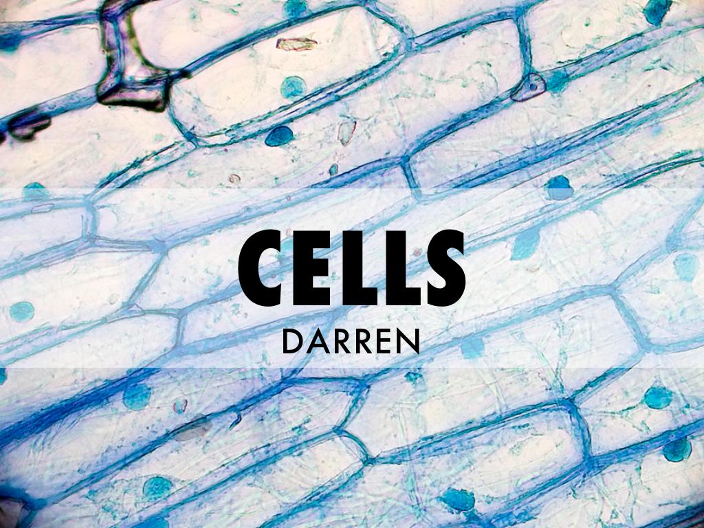 Cells