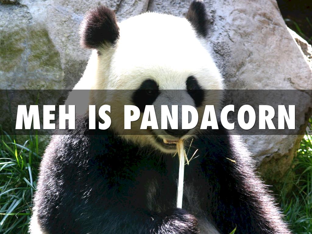 Pandas 🐼 In Action