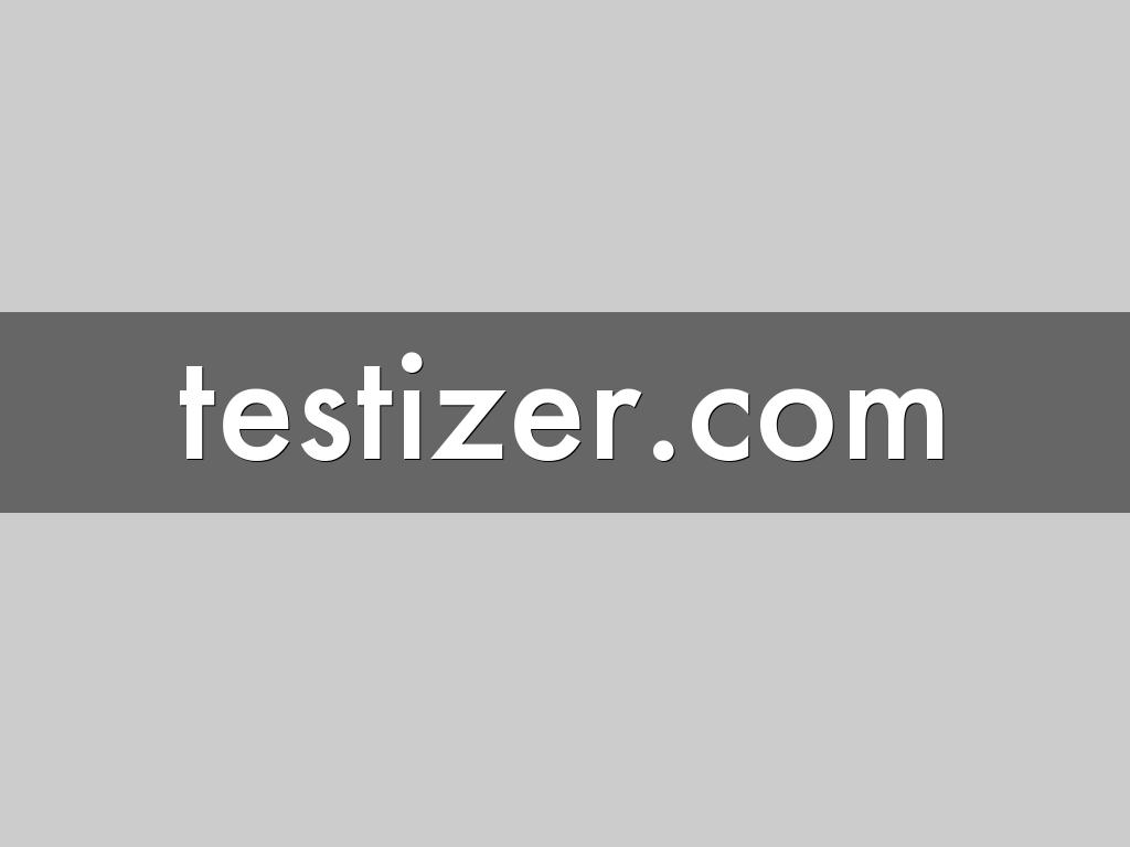 testizer.com
