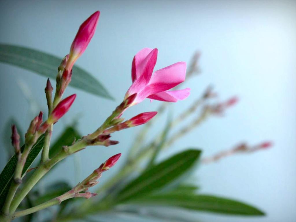 Copia di Customer Quotes & Testimonial Examples