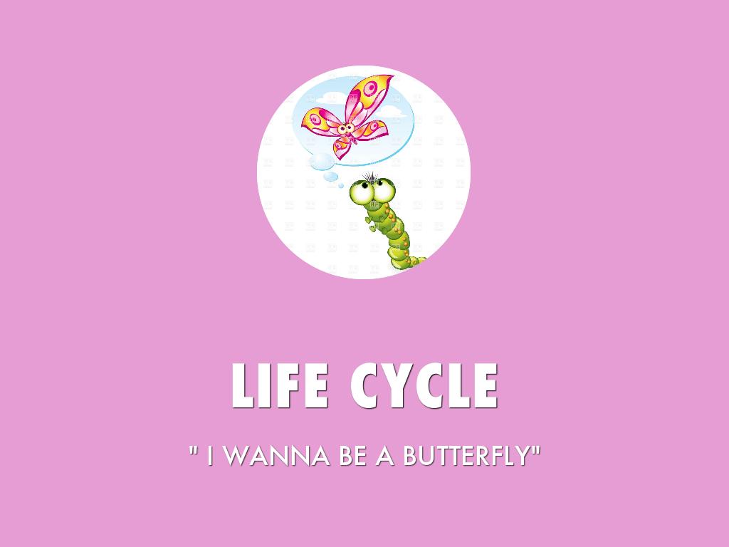 LIFE CYCLE