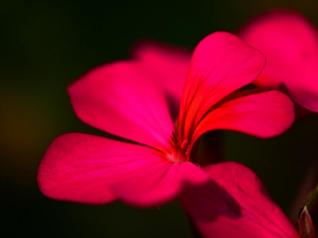 The 5 Sneaky Strategies My Female Clients Use to Attract Mr. Right And Finally Find True, Lasting Love