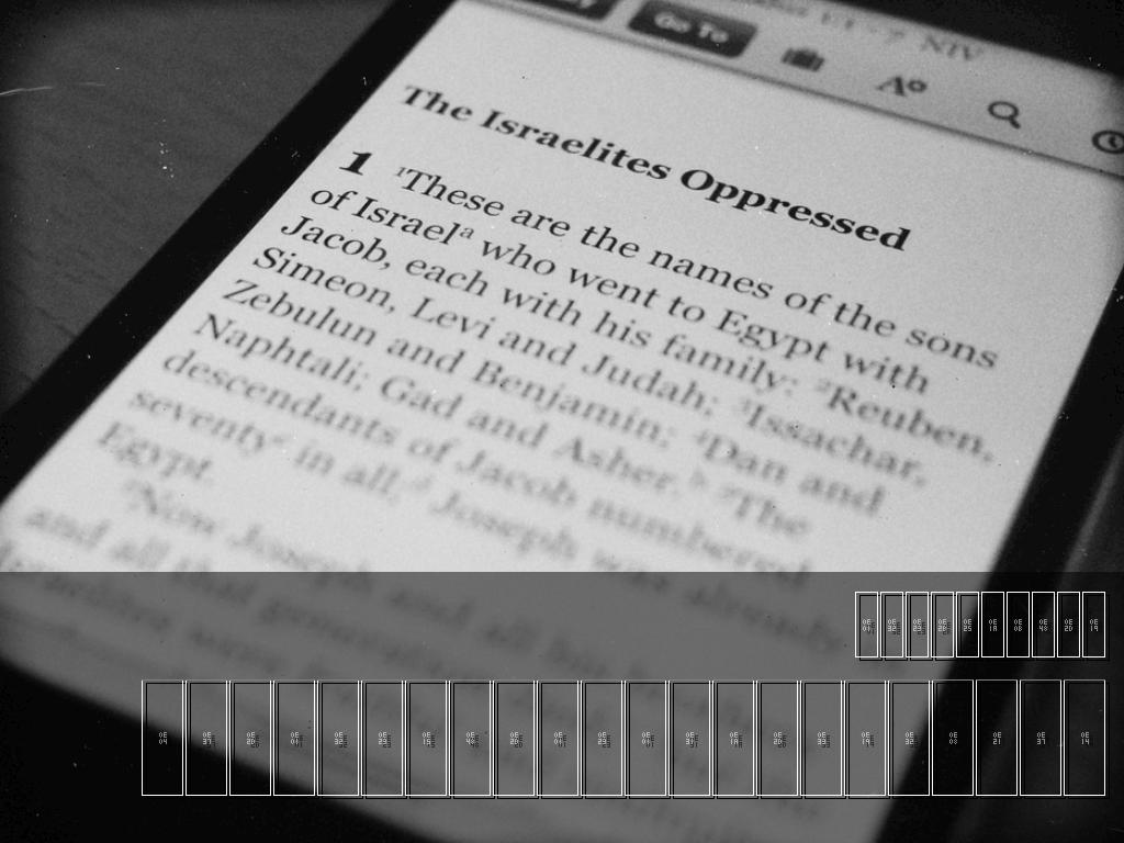 เทสเทสเทส