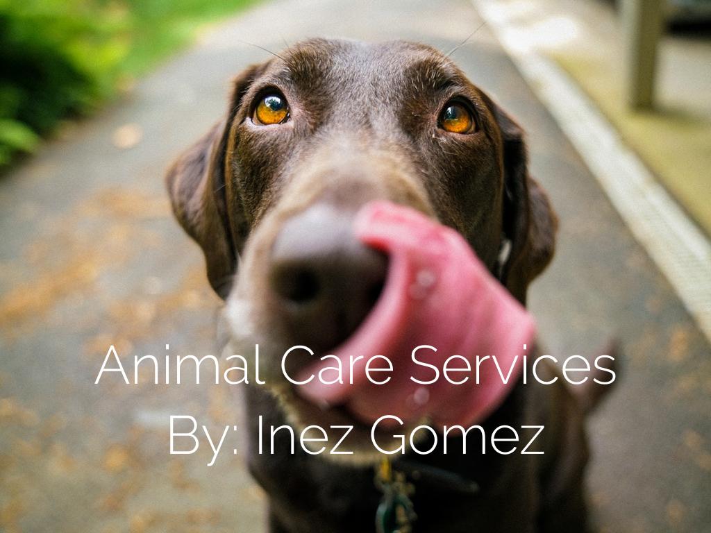 Animal Care Services