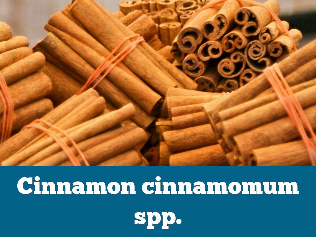Cinnamon 