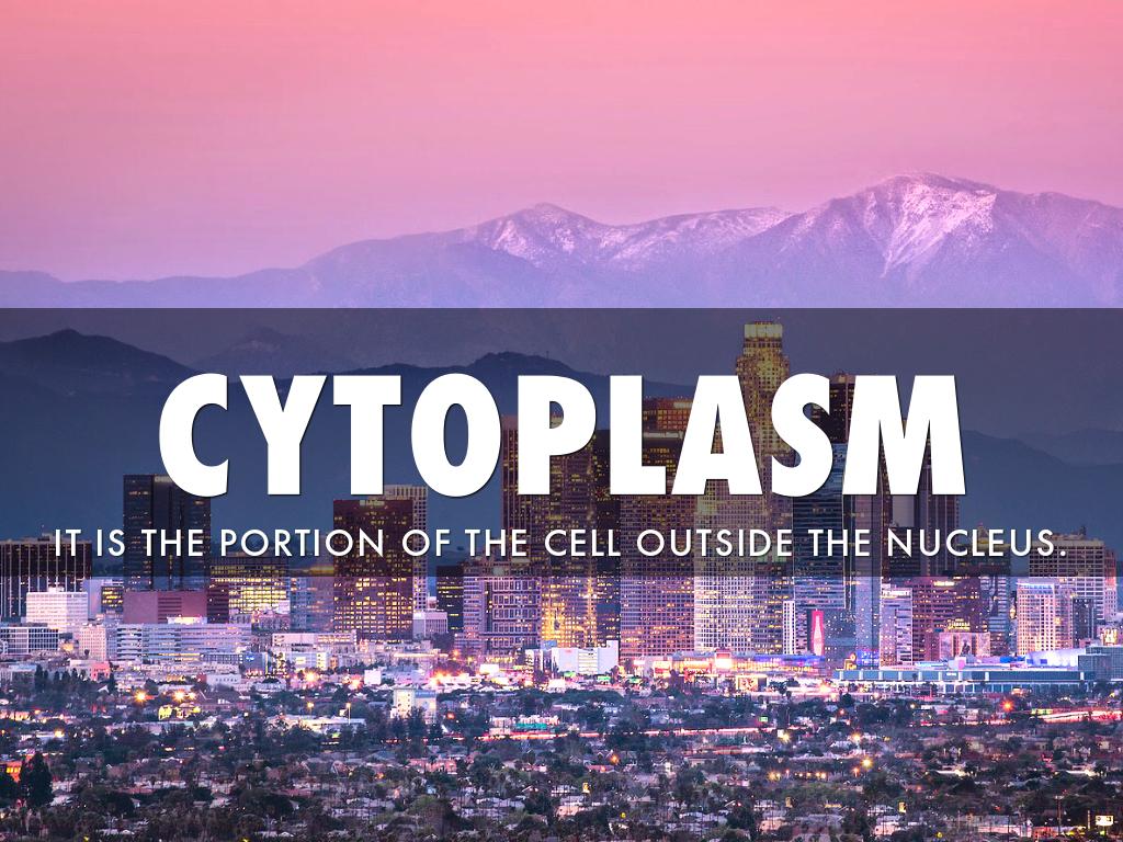 BlakeChrysiliouCity4