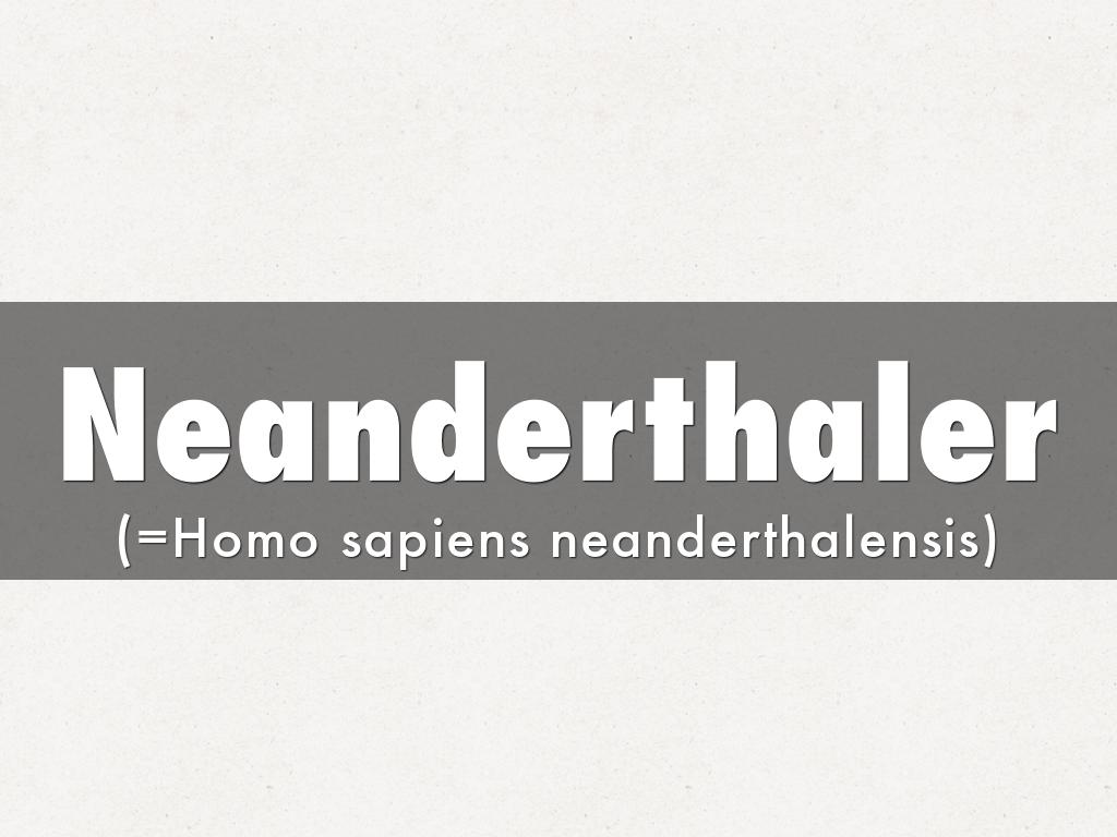 Neanderthaler