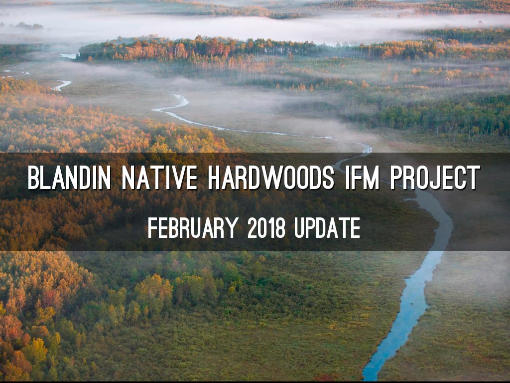 UPM Blandin Project Update - February 2018