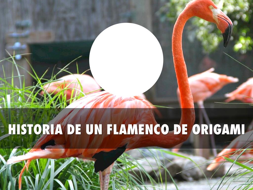 Historias De Un Flamenco 