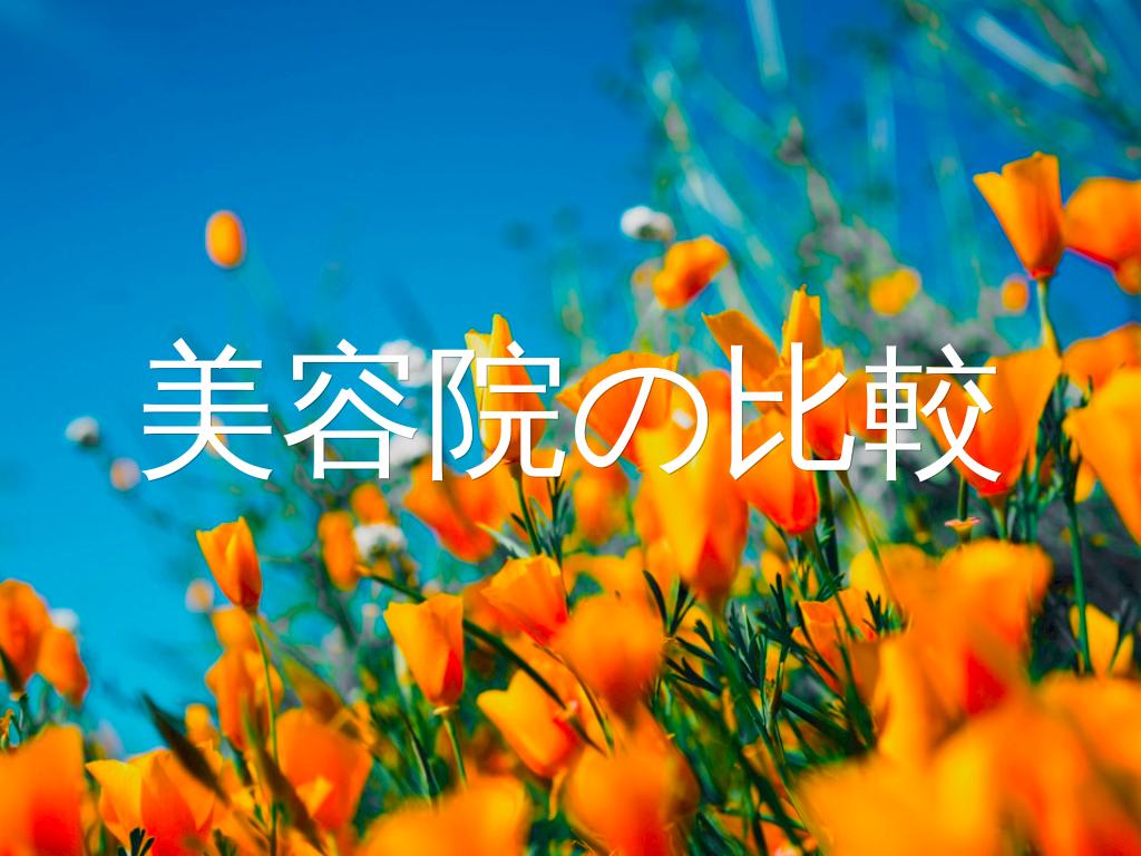 ç¾å®¹é¢ã®æ¯è¼