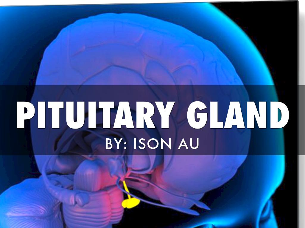 Pituitary gland