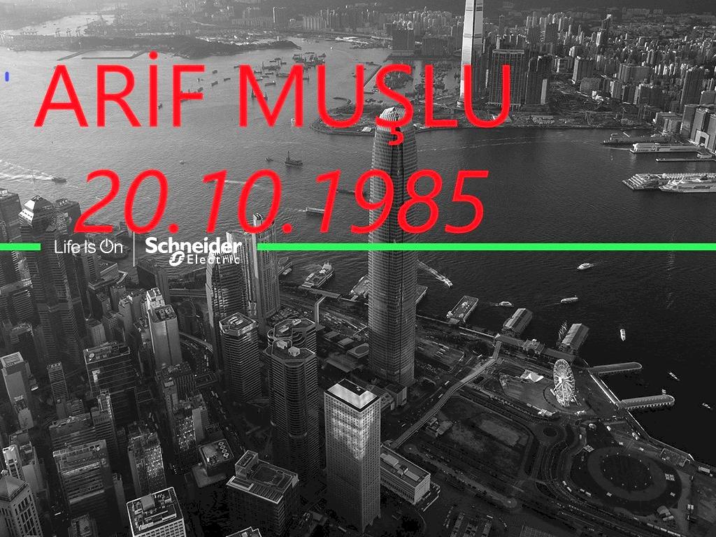 <font style="vertical-align: inherit;"><font style="vertical-align: inherit;">ARİF MUŞLU</font></font>