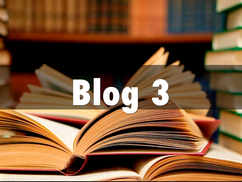 Blog 3