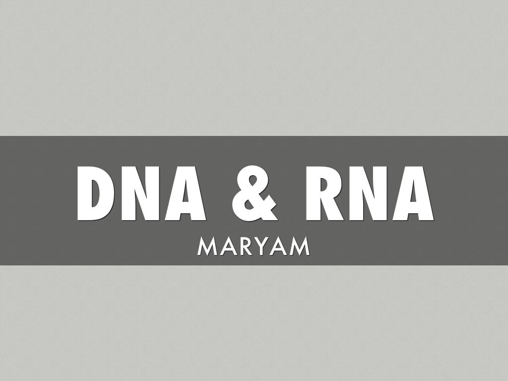DNA & RNA