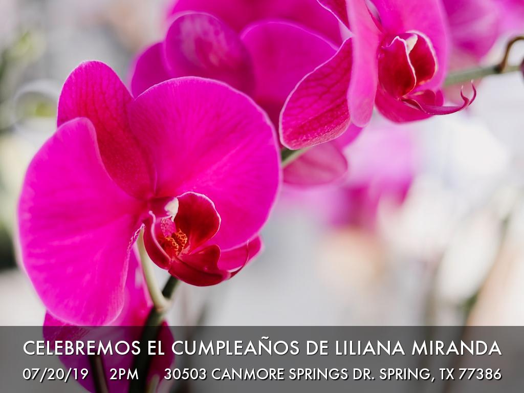 Celebremos el cumpleaños de Liliana Miranda
