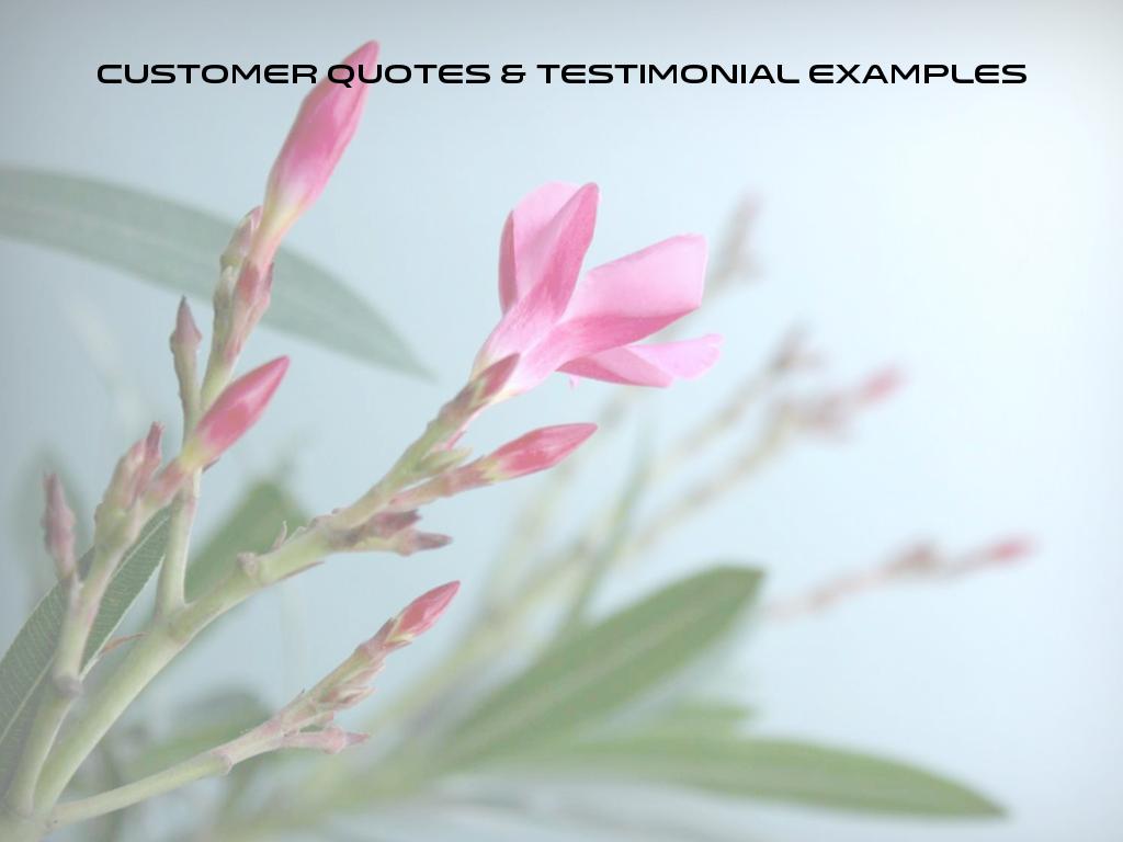 Copia de Customer Quotes & Testimonial Examples