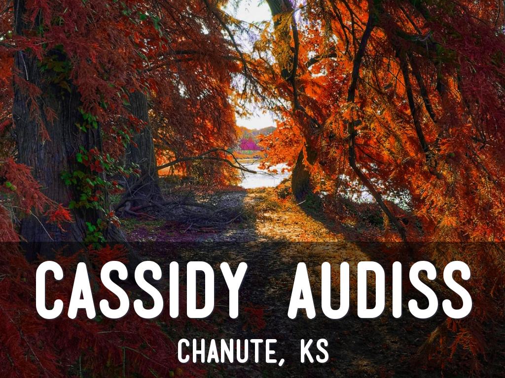 Cassidy Audiss
