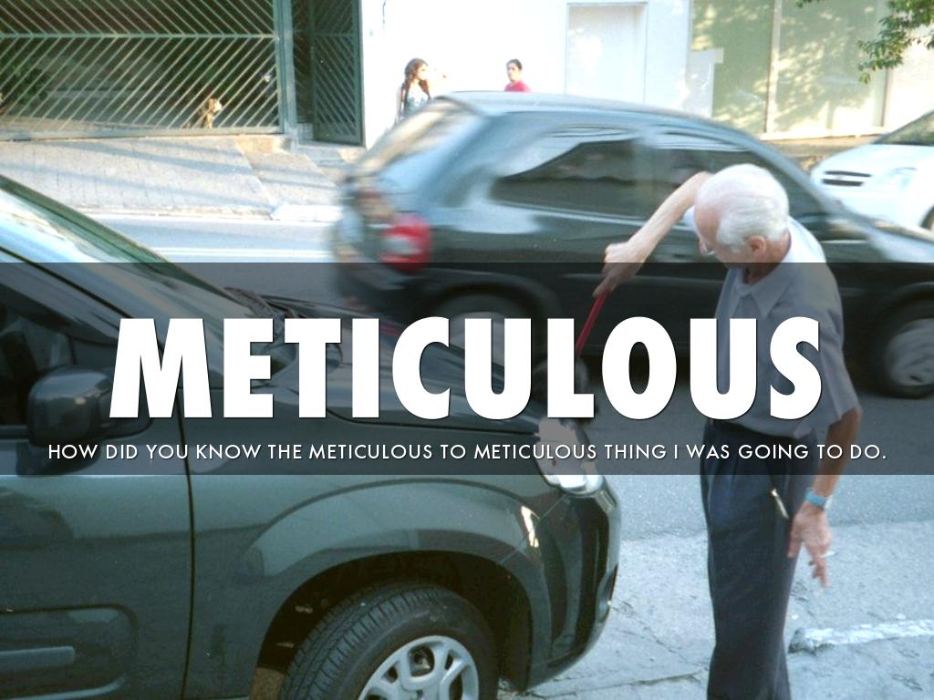 Meticulous