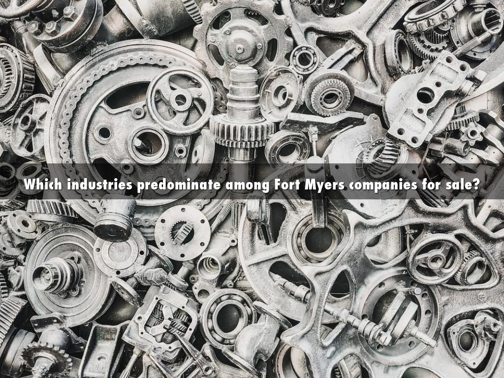 Which industries predominate among Fort Myers companies for sale?