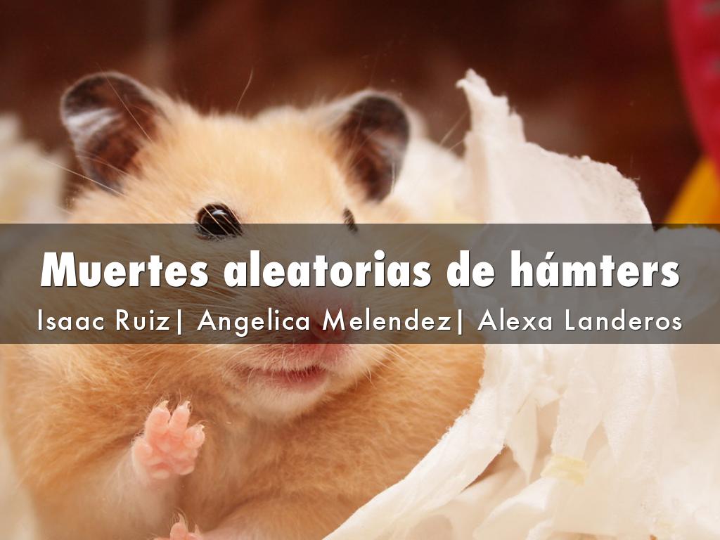 Muertes aleatorias de hámters