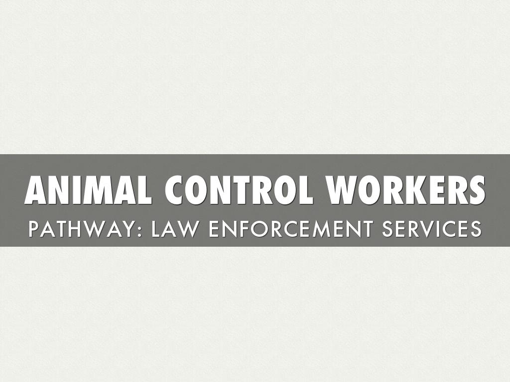 Animal Control Workers