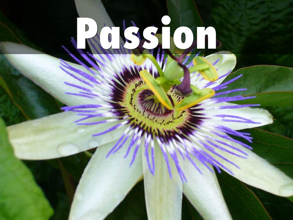 Passion