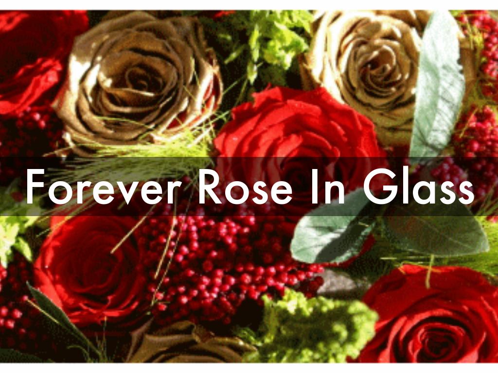 ForeverRoses Presentations by Elanie Ailsa
