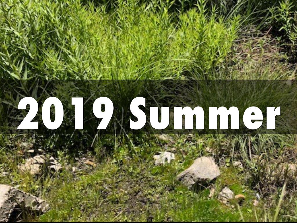 Summer Project Haiku Deck