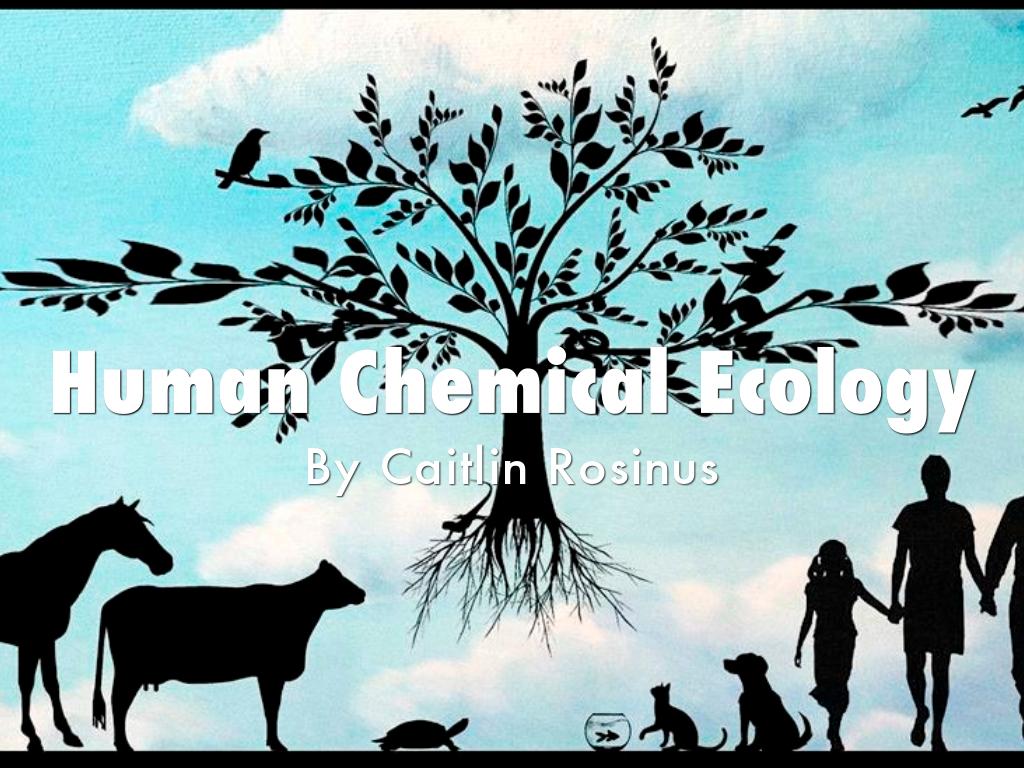 Human Chemical Ecology