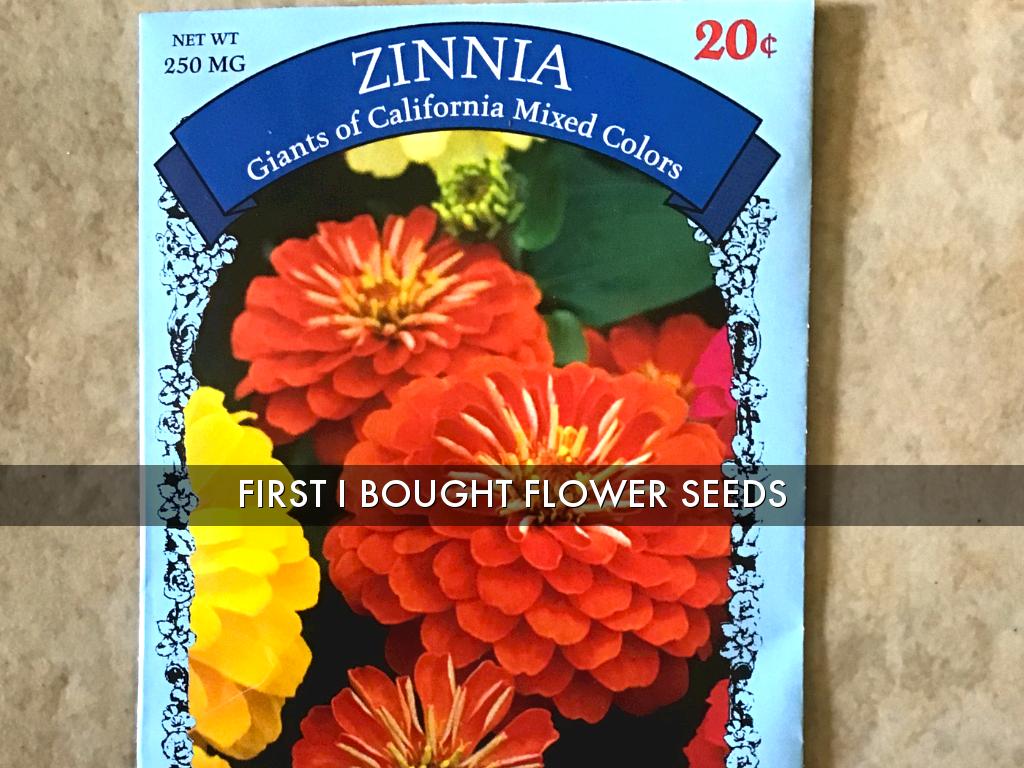 Flowers Aren’t Just Pretty