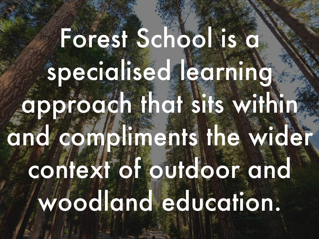 FOREST SCHOOLS by Geraldine NOLAN