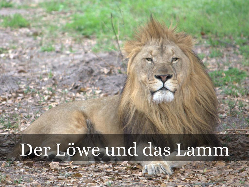 Der Löwe und das Lamm