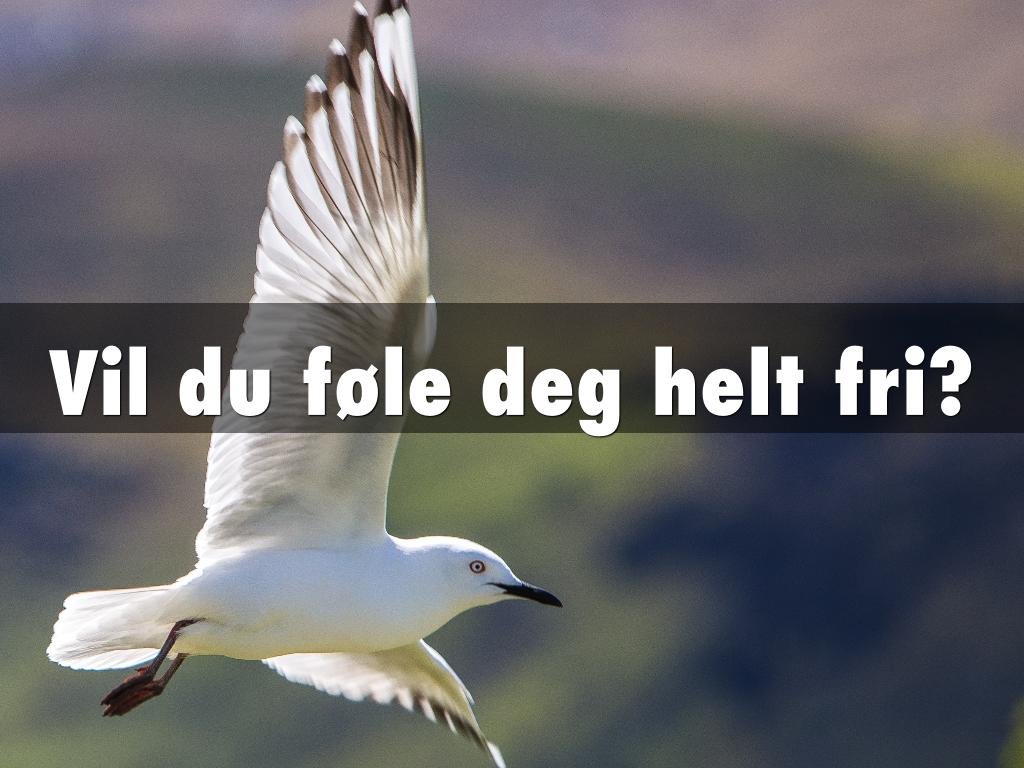 Total frihet/ Becoming Free NO