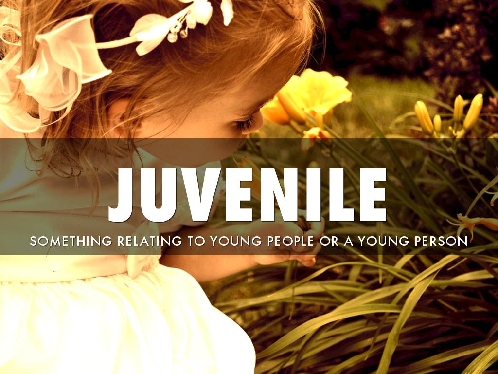 Judicial Branch Vocab