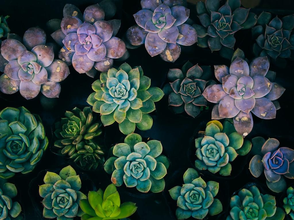 Math Transformations